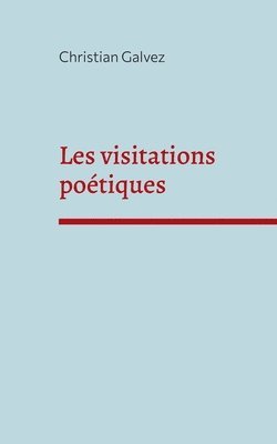 bokomslag Les visitations poetiques