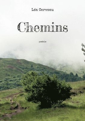 Chemins 1