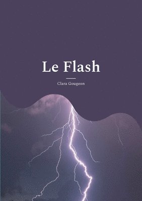 bokomslag Le Flash: Recueil de poèmes