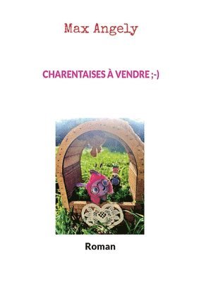 bokomslag Charentaises à vendre