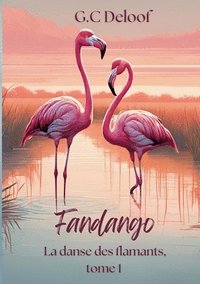 bokomslag Fandango: La danse des flamands tome 1