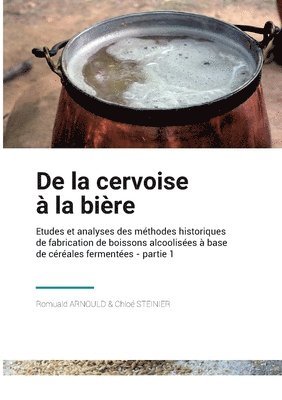 bokomslag De la Cervoise à la Bière
