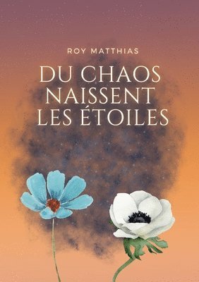 Du Chaos naissent les toiles 1