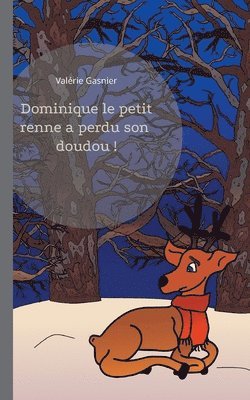 bokomslag Dominique le petit renne a perdu son doudou !