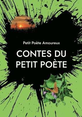 bokomslag Contes du Petit Pote