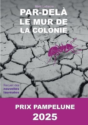 bokomslag Par-delà le Mur de la Colonie