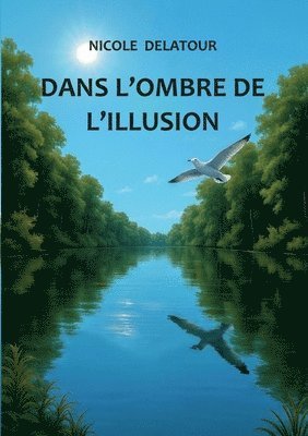 bokomslag Dans l'ombre de l'illusion