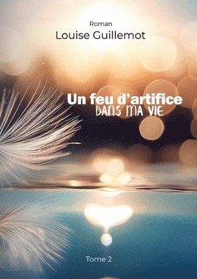 Louise Guillemot - feu d'artifice dans ma vie, Häftad