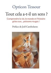 bokomslag Tout cela a-t-il un sens ?