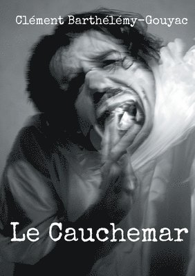 bokomslag Cauchemar