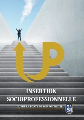 bokomslag Insertion socioprofessionnelle