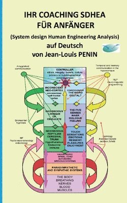 bokomslag Ihr Coaching Sdhea Fr Anfnger