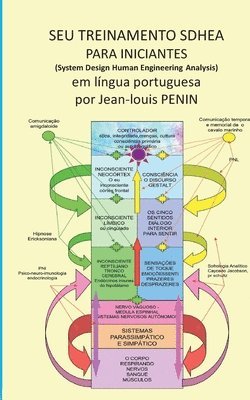 bokomslag Seu Treinamento Sdhea Para Iniciantes