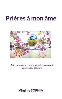 bokomslag Prières à mon âme