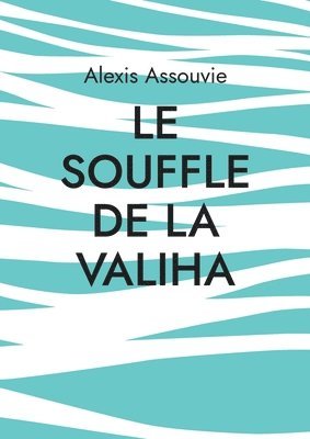 Le souffle de la valiha 1