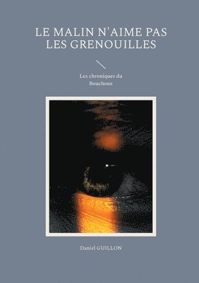 bokomslag Malin n'aime pas les grenouilles