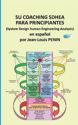 Su coaching SDHEA para principiantes 1