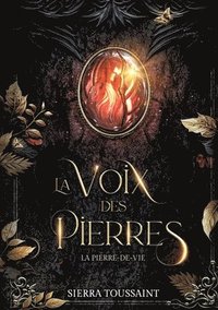bokomslag Voix des Pierres