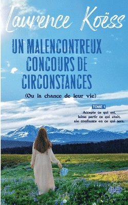 bokomslag malenconcontreux concours de circonstances (ou la chance de leur vie)