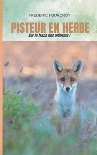 bokomslag Pisteur en herbe