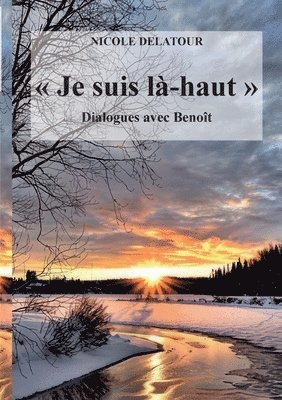 bokomslag &quot;Je suis l-haut&quot;, Dialogues avec Benot