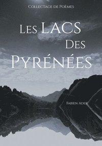 bokomslag Les lacs des Pyrnes