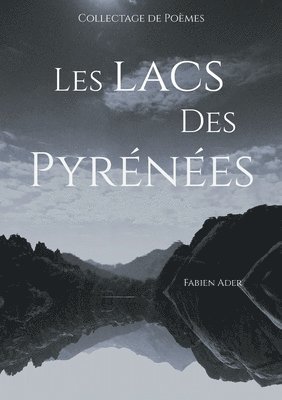 bokomslag Les lacs des Pyrnes