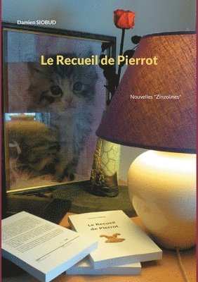 Le Recueil de Pierrot 1