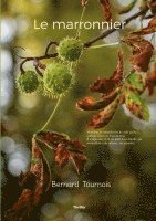 marronnier