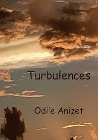 bokomslag Turbulences