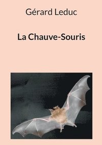 bokomslag La Chauve-Souris
