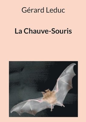 La Chauve-Souris 1