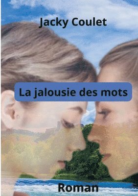 bokomslag La Jalousie des mots