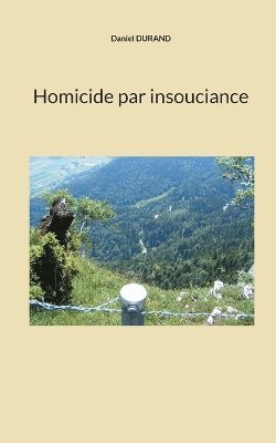 bokomslag Homicide par insouciance