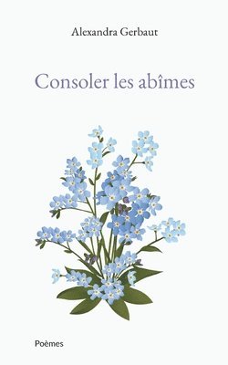 bokomslag Consoler les abîmes