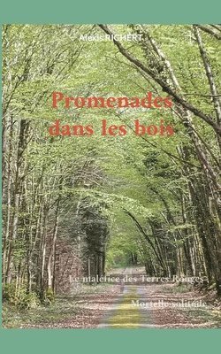 bokomslag Promenades dans les bois