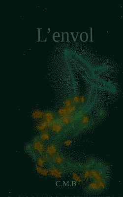 L'envol 1