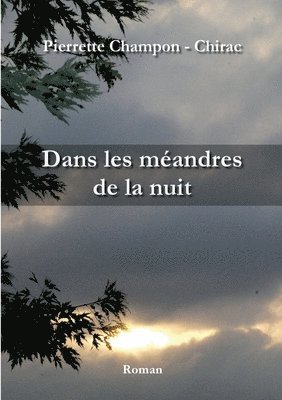 bokomslag Dans les mandres de la nuit