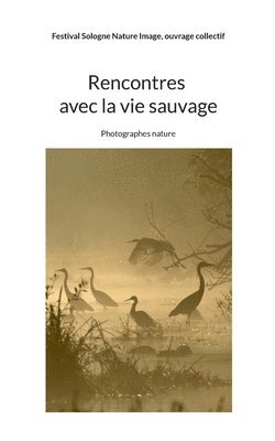 bokomslag Rencontres avec la vie sauvage