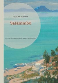 bokomslag Salammbô: Un roman historique exotique sur la guerre des Mercenaires à Carthage par Gustave Flaubert