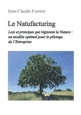 bokomslag Le Natufacturing: Lois et principes qui régissent la Nature: un modèle optimal pour le pilotage de l'Entreprise