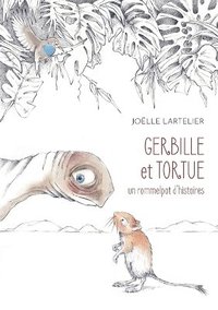 bokomslag Gerbille et Tortue