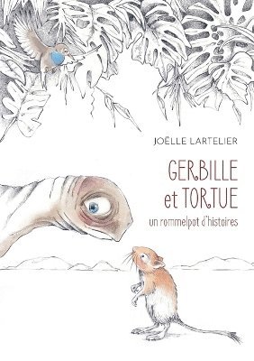 Gerbille et Tortue 1