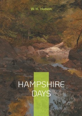 bokomslag Hampshire Days