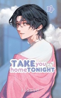 bokomslag Take you home tonight