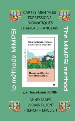 Cartes mentales expressions idiomatiques francais anglais 1