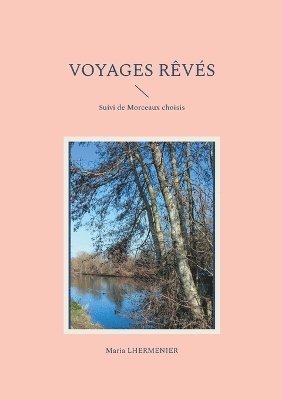 bokomslag Voyages Rêvés