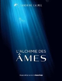 bokomslag L'alchimie des âmes