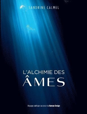 bokomslag L'alchimie des âmes