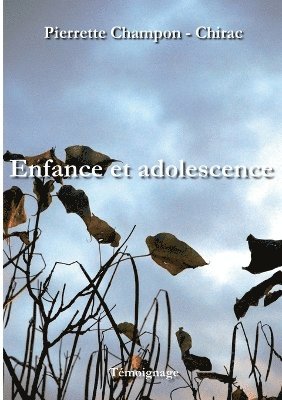 bokomslag Enfance et adolescence